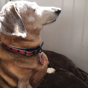 Meet your Posher, Judith